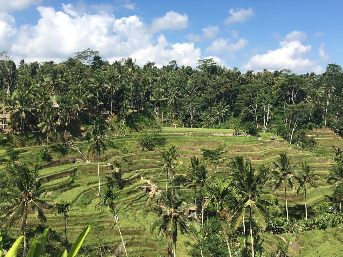 Villa Maha Ubud Exterior foto